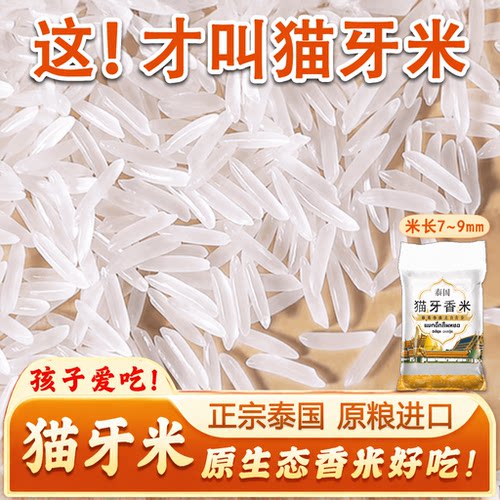 纯正泰国猫牙香米新米进口长粒香米象牙米米10斤当季上林软糯新鲜