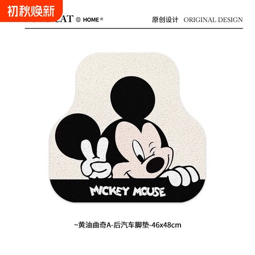 蹭土耐脏耐磨主副驾驶车垫子