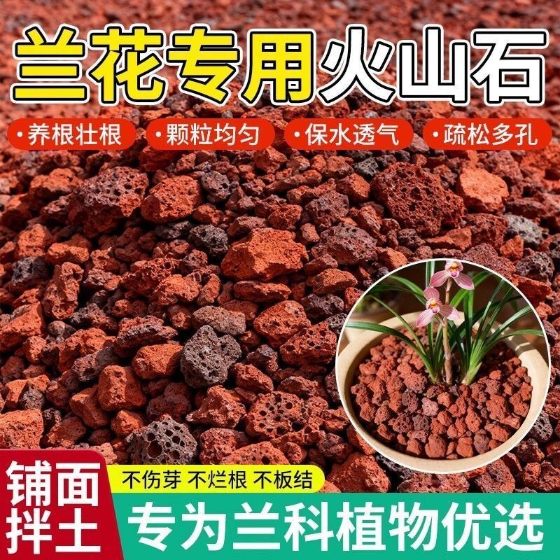 兰花专用火山石盆栽铺面鱼缸造景滤材火山岩底砂颗粒石头多肉植物