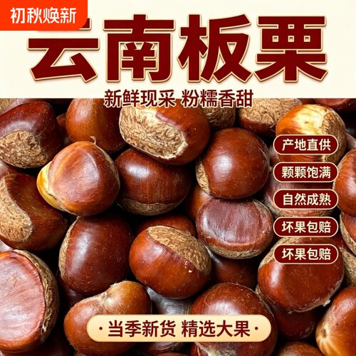 云南板栗新鲜2026新货产地直发毛栗子生板栗批发5斤包邮旗舰店