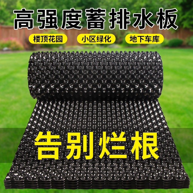 排水板种菜绿化蓄水板滤水板双面阻根板控根器土工布果园烂根花园