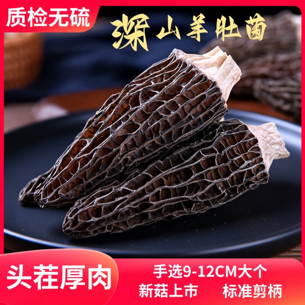 当季云南羊肚菌非野生特产干货菌菇煲汤养生新鲜美味山珍美食营养
