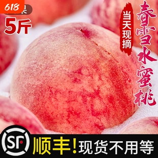 顺丰春雪水蜜桃当季5斤新鲜水果整箱包邮孕妇脆桃毛桃冬桃子现货