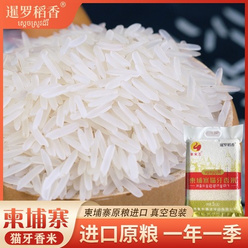 进口柬埔寨当季新米一年只产一季