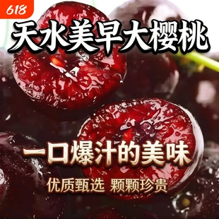 天水大樱桃红灯美早俄八新鲜当季现摘孕妇水果脆甜多汁冷链包邮