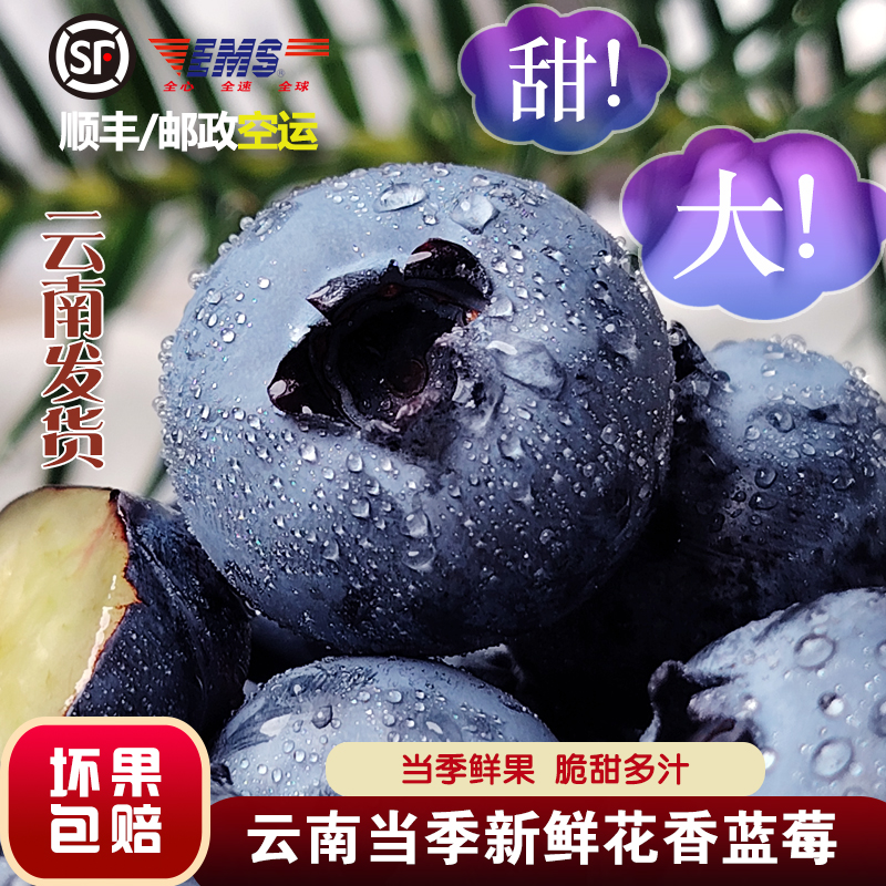 整箱顺丰包邮云南花香蓝莓大果农场直发新鲜采摘一颗佳莓沃当季