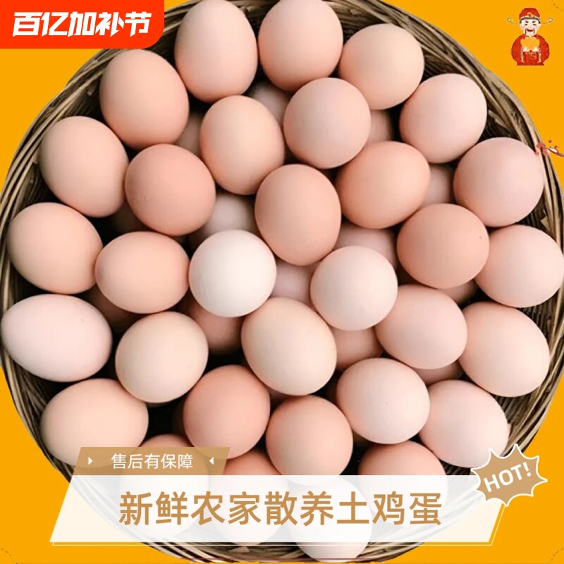 正宗农家土鸡蛋散养草鸡蛋笨鸡蛋孕妇儿童早餐高营养蛋整箱批发