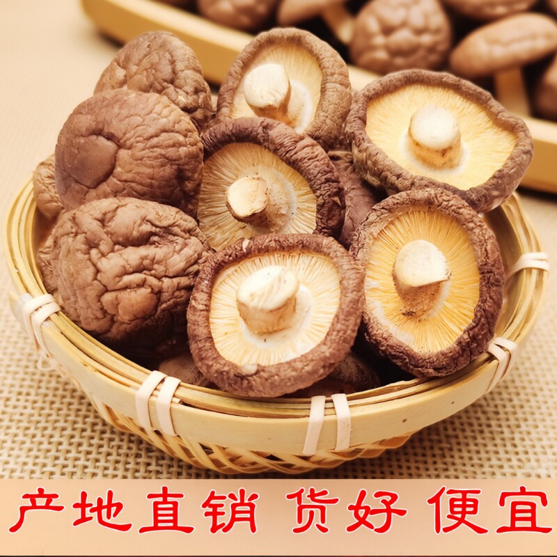 干香菇干货批发小香菇蘑菇菌类冬菇煲汤新鲜珍珠菇金钱菇新货大片