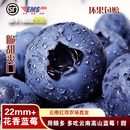 顺丰现货云南高山蓝莓王现摘新鲜特大果当季 时令高端水果鲜沃25