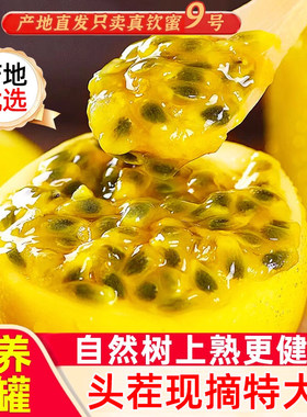 现摘钦蜜9号黄金百香果新鲜水果当季现摘百香果原浆果酱包邮3