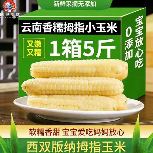 拇指玉米西双版纳糯觅小玉米