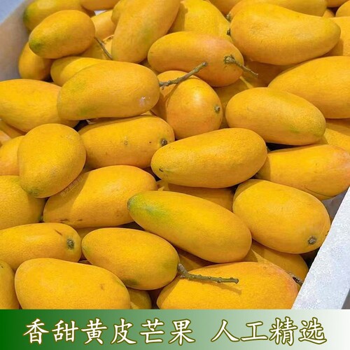 精选黄皮小芒果水果薄皮核小台芒果水果坏果包赔小台农芒新鲜