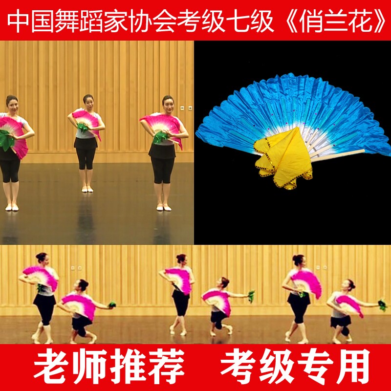 中国舞蹈家协会舞蹈考级七级十级花鼓灯舞韵俏兰花扇子手绢道具