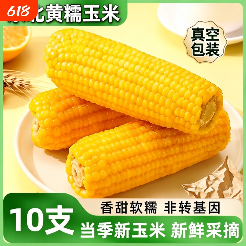 正宗东北黄糯玉米棒真空包装头茬苞米寒地黑土软糯拉丝非即食玉米