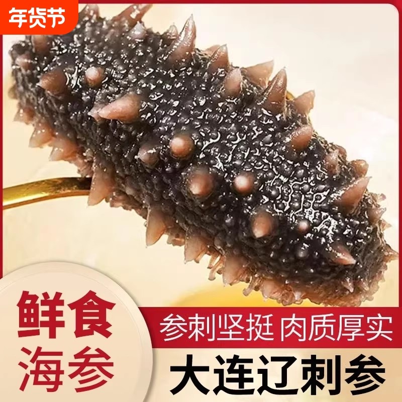 大连海参即食刺参鲜活冷冻辽参干货海参真空海参滋补水产冷冻深海