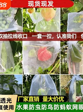 水果套袋防虫网袋防鸟桃子西红柿
