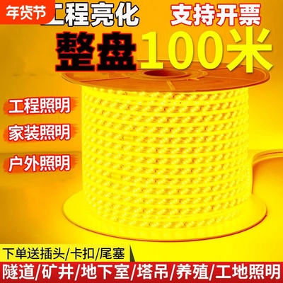 整卷100米超亮LED灯带家装户外工程亮化吊顶户外防雨暖光白光装饰