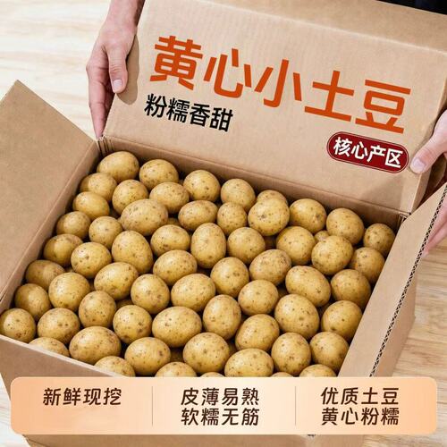 恩施小土豆高山新鲜现挖