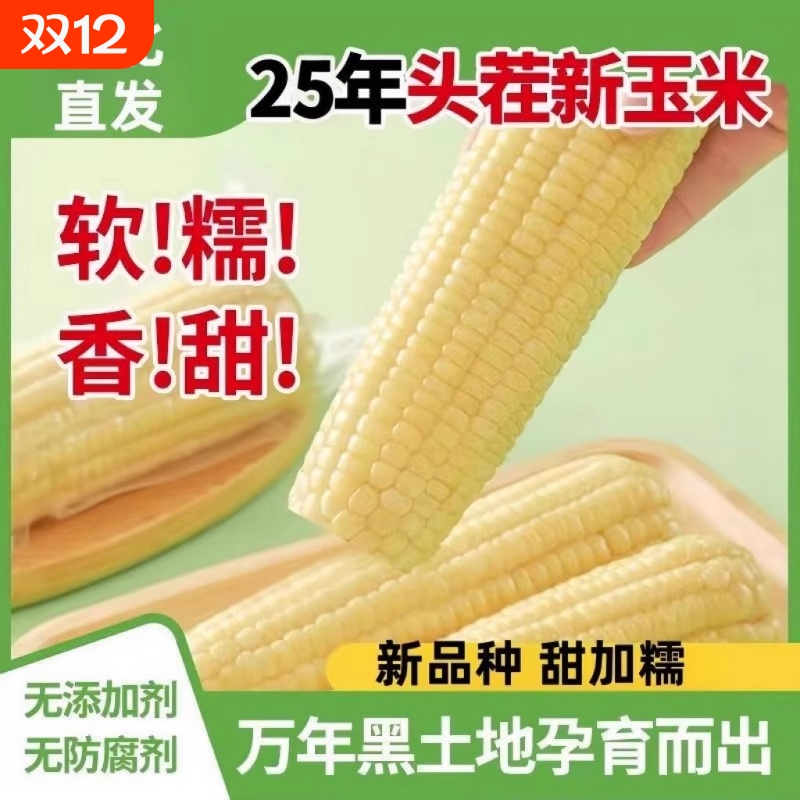 2025东北糯玉米真空包装黏苞米白糯玉米棒早餐代餐粘玉米熟黏玉米