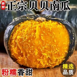 云南正宗贝贝南瓜板栗味宝宝辅食甜糯低脂小南瓜生鲜果蔬现摘