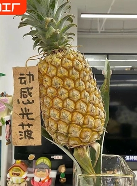 动感光菠水培菠萝可食用香蕉绿植工位办公室内水果插花水养鲜花卉