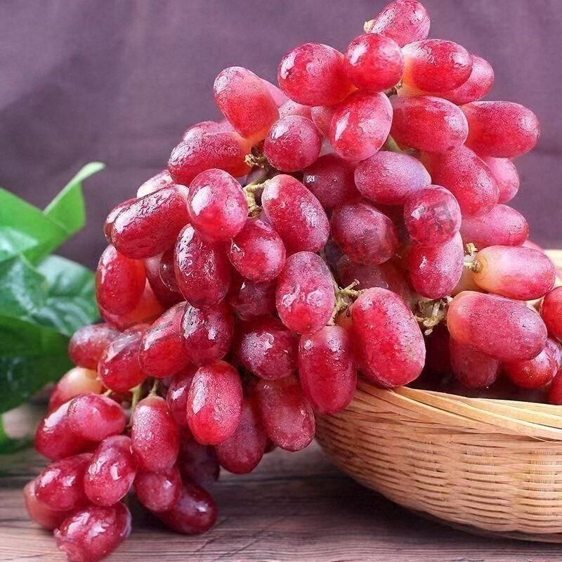 顺丰包邮无籽红提克伦生葡萄5斤净重新鲜水果整串孕妇小孩水果,水产肉类/新鲜蔬果/熟食,葡萄/提子,淘宝优惠券,粉丝福利购,淘宝优惠卷