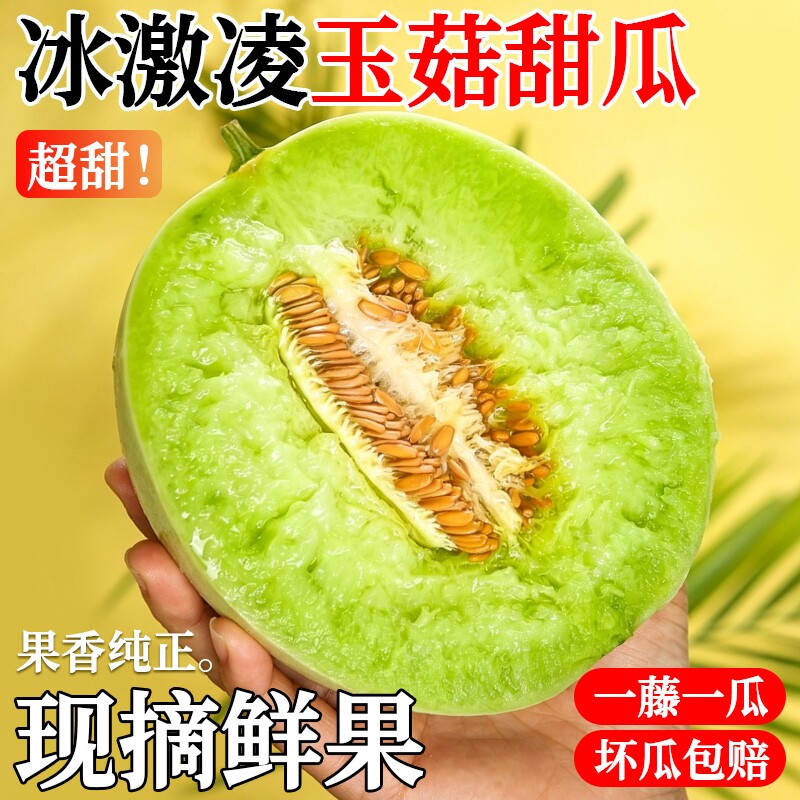 【央视品牌】顾一！冰淇淋玉菇甜瓜5斤