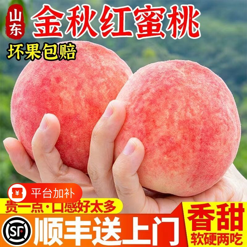 新品！正宗青岛秋季红蜜桃5斤脆甜