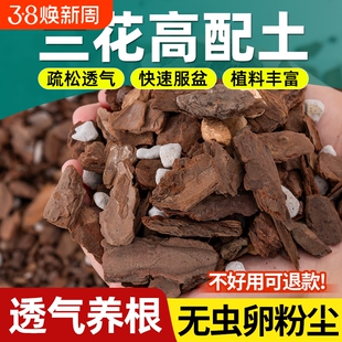 蝴蝶兰专用土植料松树皮发酵腐熟君子兰种植土家用精品高端土疏松