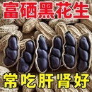 原味富硒黑花生带壳大粒黑花生味甜黑皮花生米500g黑花生云南特产