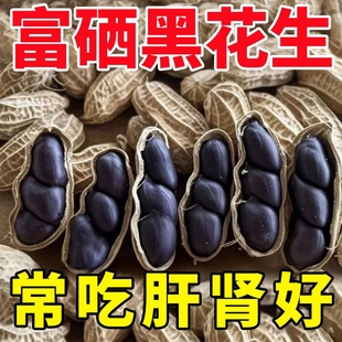 原味富硒黑花生带壳大粒黑花生味甜黑皮花生米500g黑花生云南特产