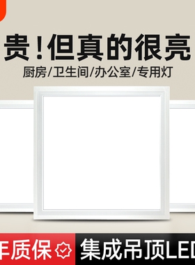 集成吊顶led灯厨房卫生间灯铝扣板嵌入式30x30x60x300x600平板灯
