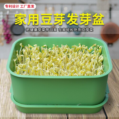 家用育苗发芽盆豆芽机发豆芽神器