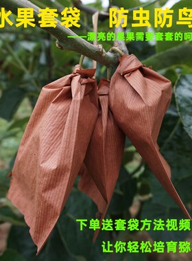 红心猕猴桃育果袋防虫防鸟袋子优质奇异果套袋单层12*16cm带铁丝