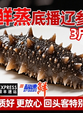 鲜蒸即食海参3斤大连深海捕捞非淡干高营养特Q弹大个头水产冷冻