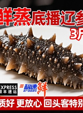 参意盎然大连大连即食海参高营养