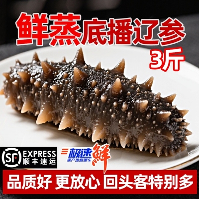 参意盎然大连大连即食海参高营养