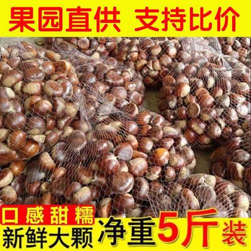 正宗东北栗子带壳生板栗应季蔬菜水果现摘板栗农家现摘栗子包邮