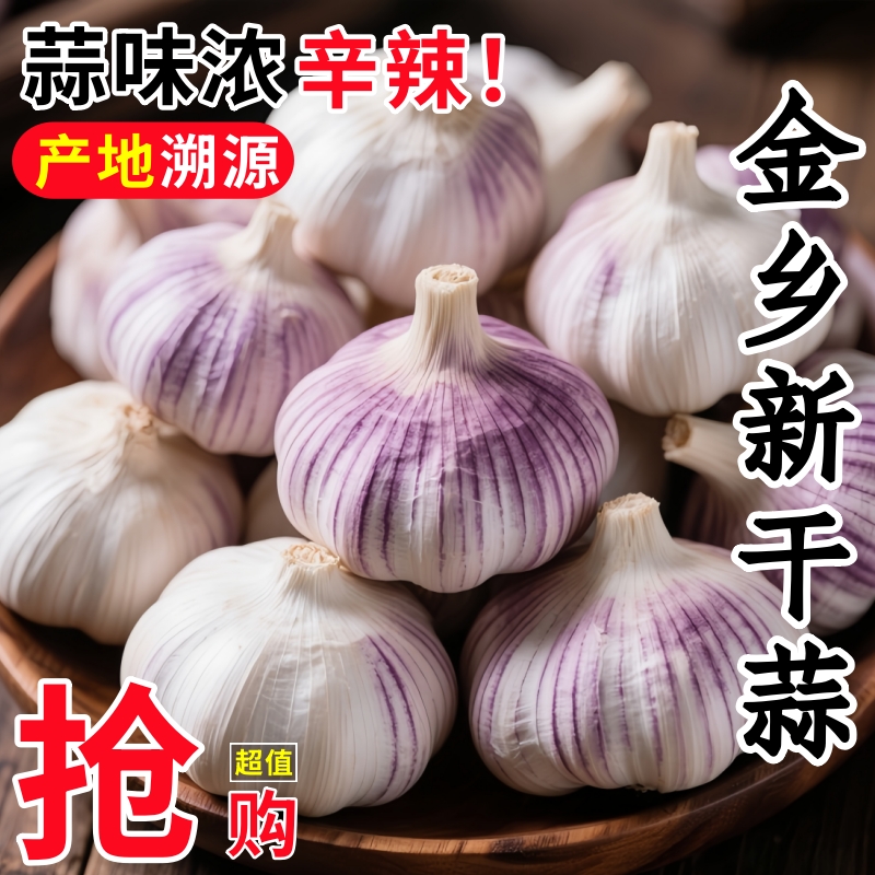【金乡大蒜】新干蒜紫皮大蒜新鲜大蒜头红皮大蒜批发优质蒜子便宜