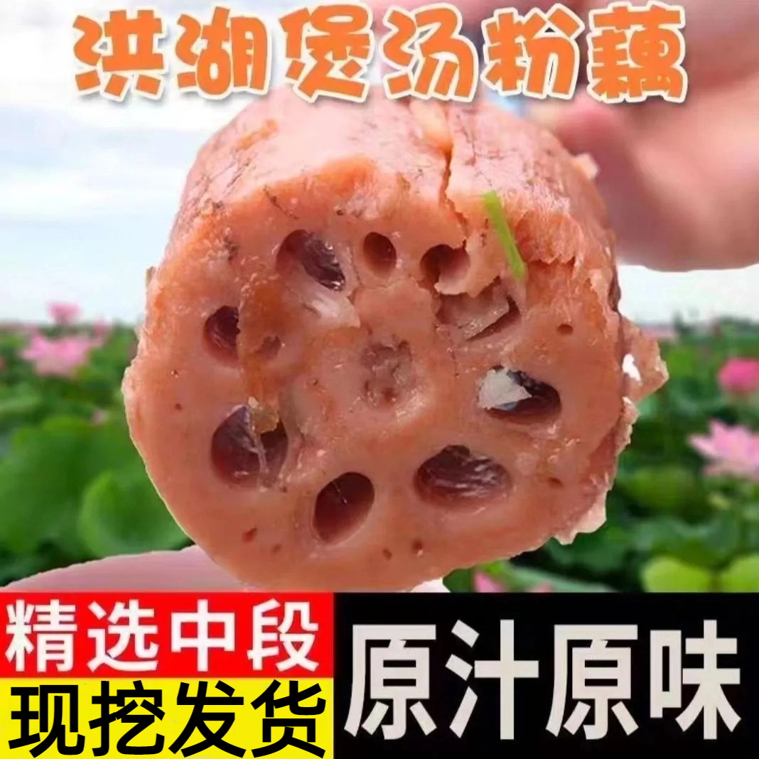正宗洪湖粉藕莲藕新鲜现挖洪湖莲藕带泥巴藕九孔藕湖北莲藕糯米藕