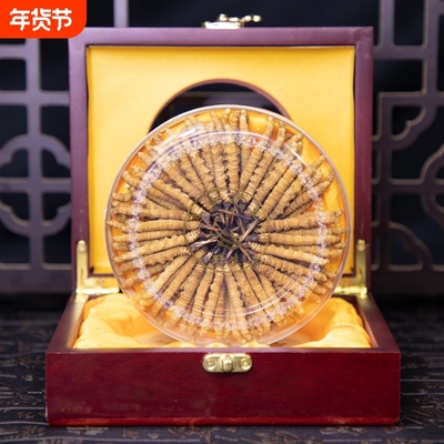 2025新鲜头期冬虫夏草鲜虫草礼盒装官方旗舰店正品滋补品鲜草