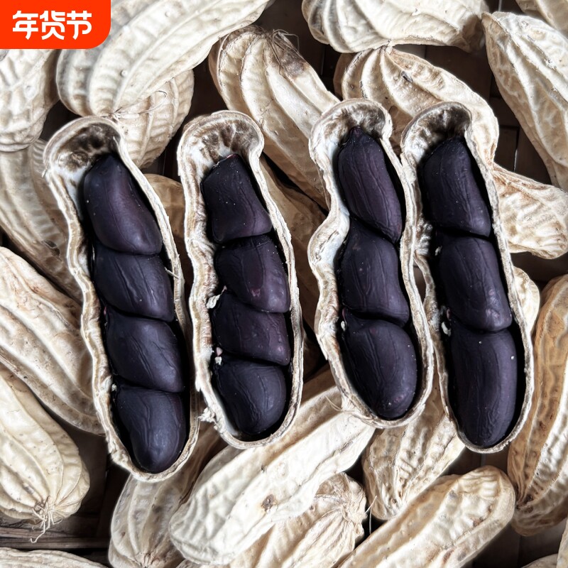 云南普洱富硒黑花生黑皮花生2025年新货晒干带壳花生米原味年货