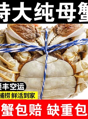 苏州鲜活大闸蟹顺丰空运鲜活到家