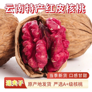 云南红皮核桃红衣核桃旗舰店红色核桃2026新货红核桃零食孕妇即食