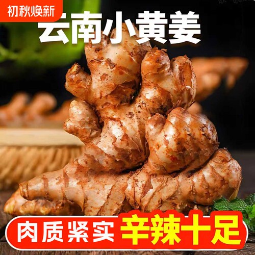 云南小黄姜老姜新鲜现挖山地生姜
