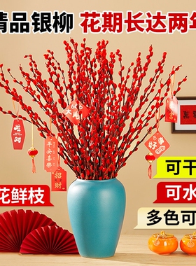 银柳真花鲜枝年宵花客厅摆件干花盆栽抱抱桶红色花卉干枝水培植物