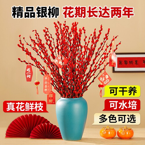 银柳真花鲜枝年宵花客厅摆件干花盆栽抱抱桶红色花卉干枝水培植物