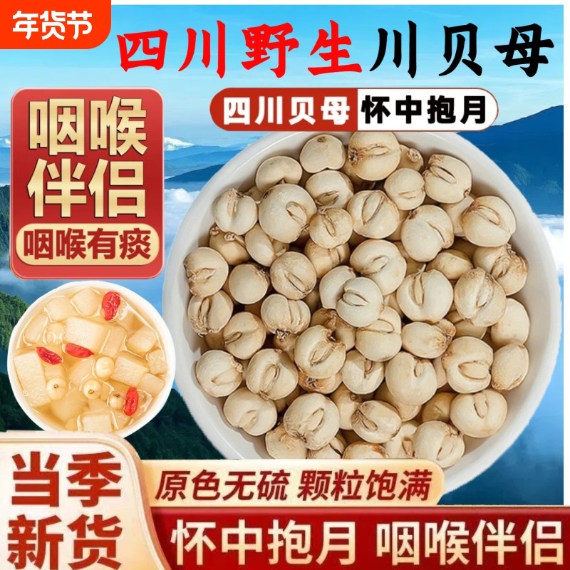 四川正宗川贝中药材川贝母泡水炖雪梨汤搭配雪梨干川麦冬止咳润肺