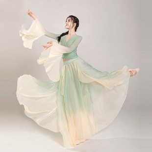 古典舞演出服女飘逸仙气上衣身韵纱衣练功服中国舞舞蹈服艺考套装