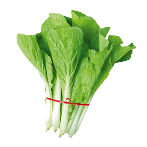 奶油小白菜种子耐热快菜阳台盆栽四季蔬菜种籽小香葱种植小葱速生